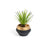 Planta artificial Palmera pequeña con maceta de cerámica negro y dorado 18 cm