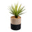 Planta artificial Palmera pequeña con maceta de rafia natural y negro 21 cm