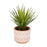 Planta artificial Palmera pequeña con maceta de cerámica marrón y blanco 13 cm